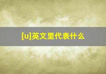 [u]英文里代表什么